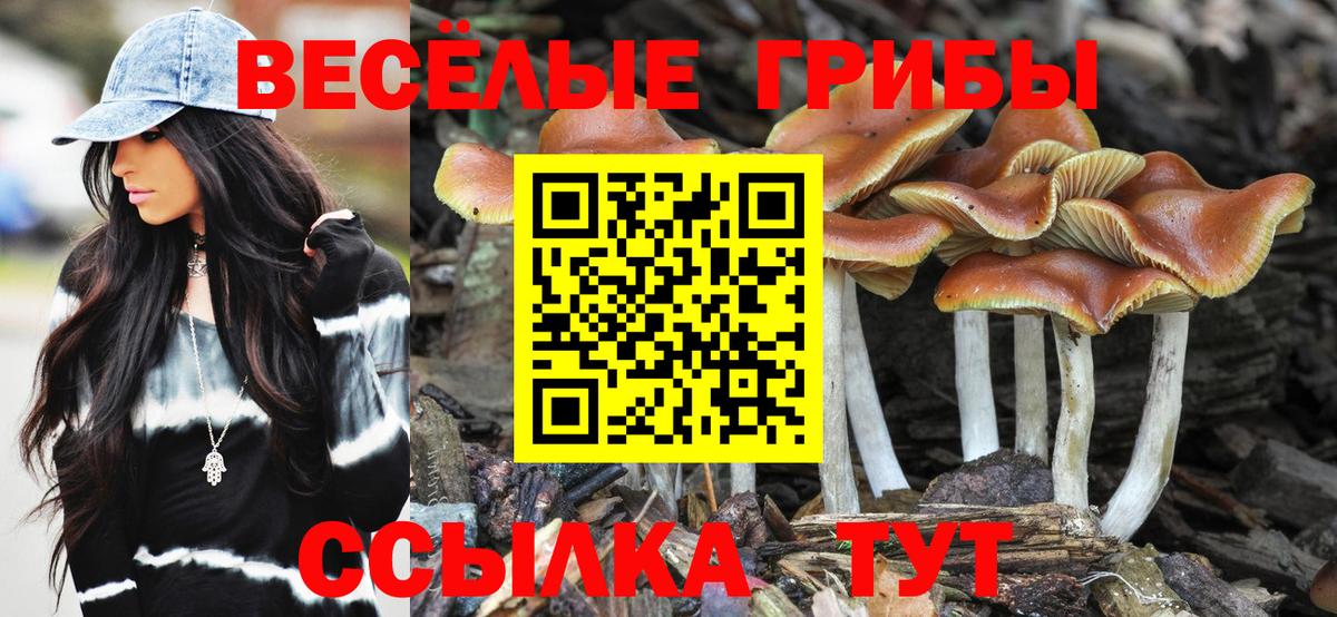 Галлюциногенные грибы Cubensis Ачхой-Мартан